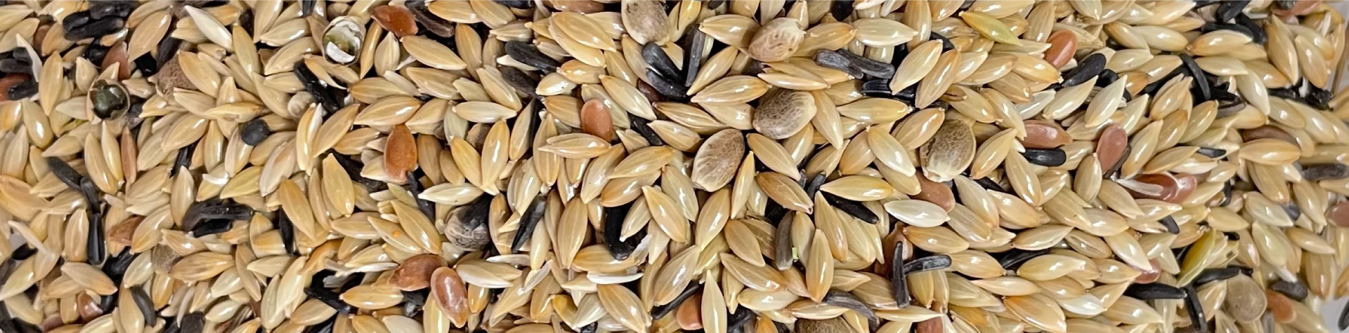 miscela mangime per uccelli