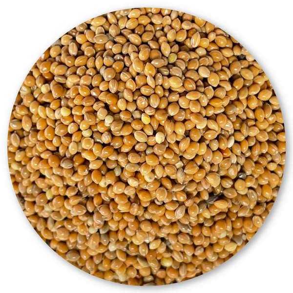 miscela mangime per uccelli