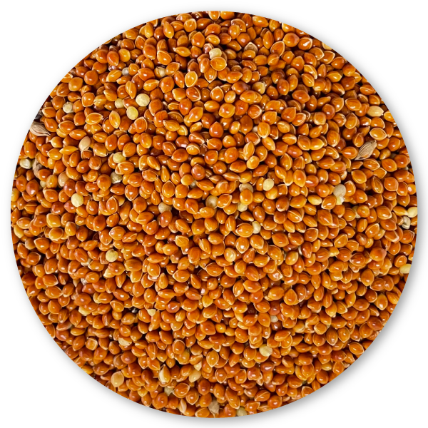 miscela mangime per uccelli