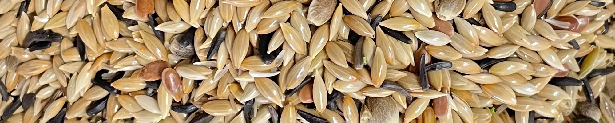 miscela mangime per uccelli