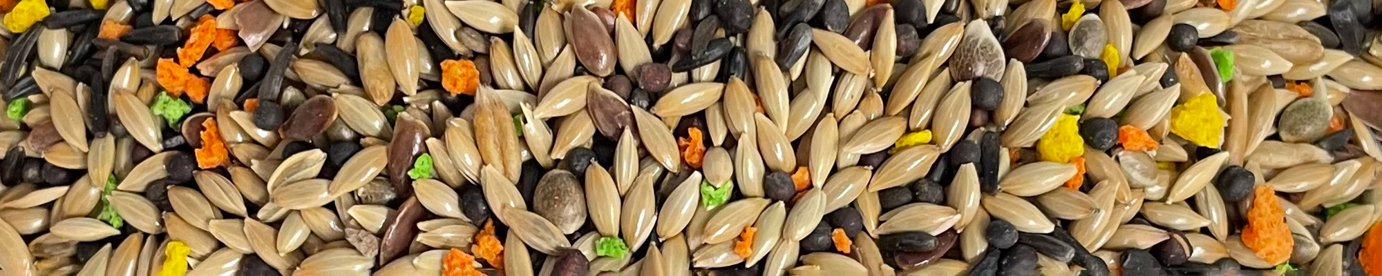 miscela mangime per uccelli