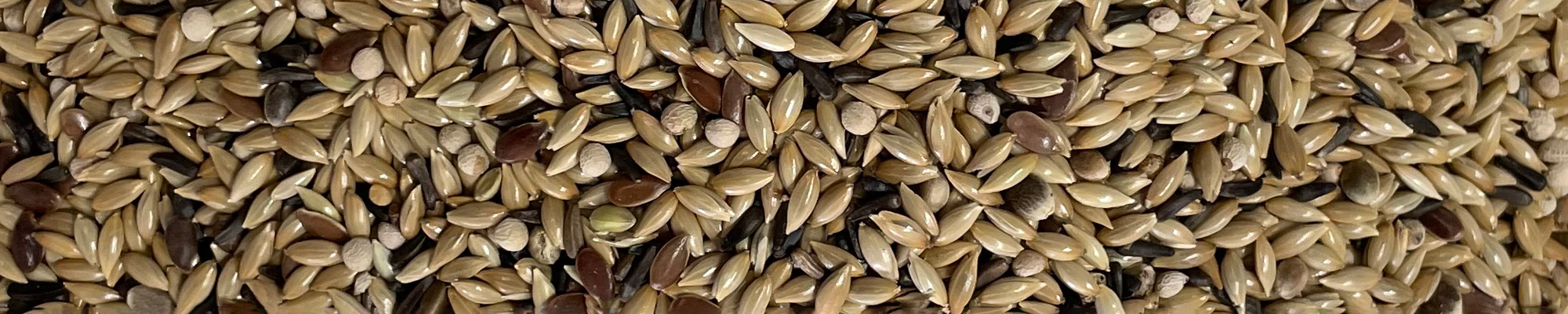 miscela mangime per uccelli