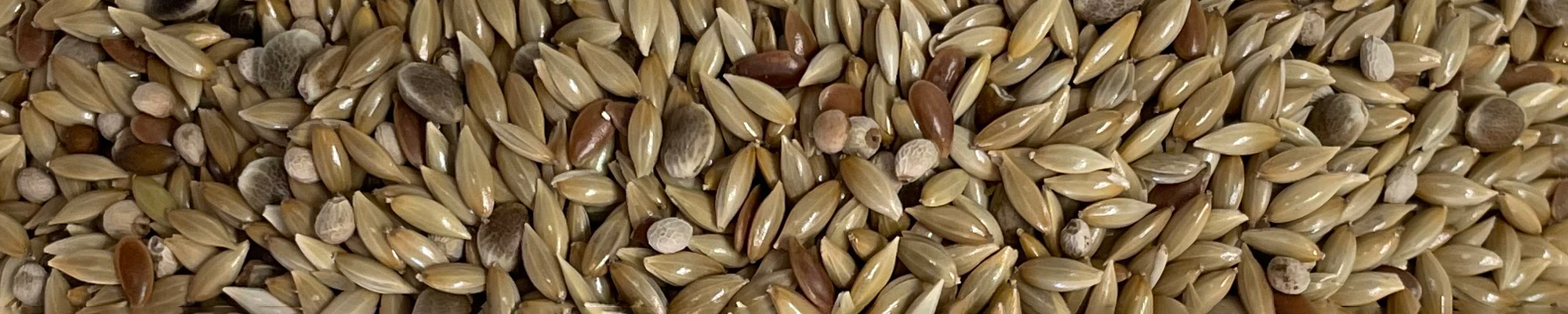 miscela mangime per uccelli