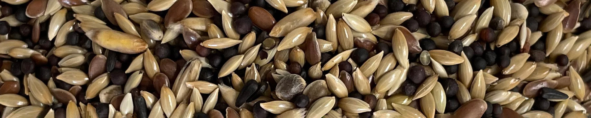 miscela mangime per uccelli