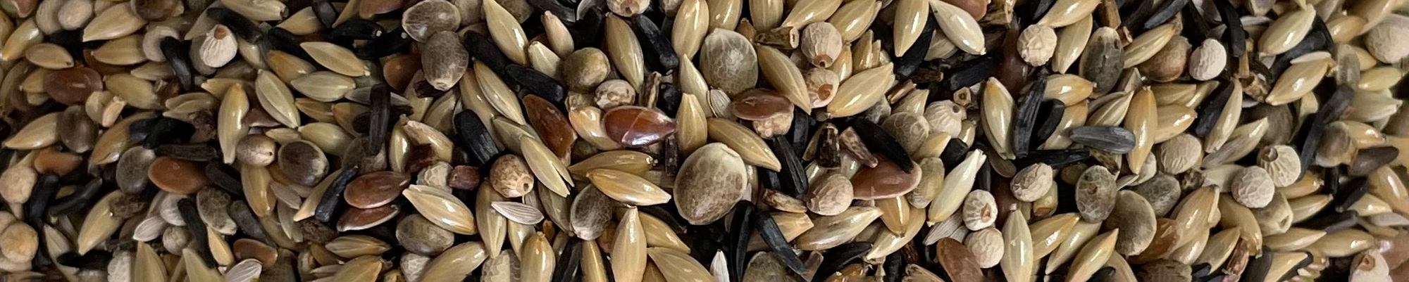 miscela mangime per uccelli