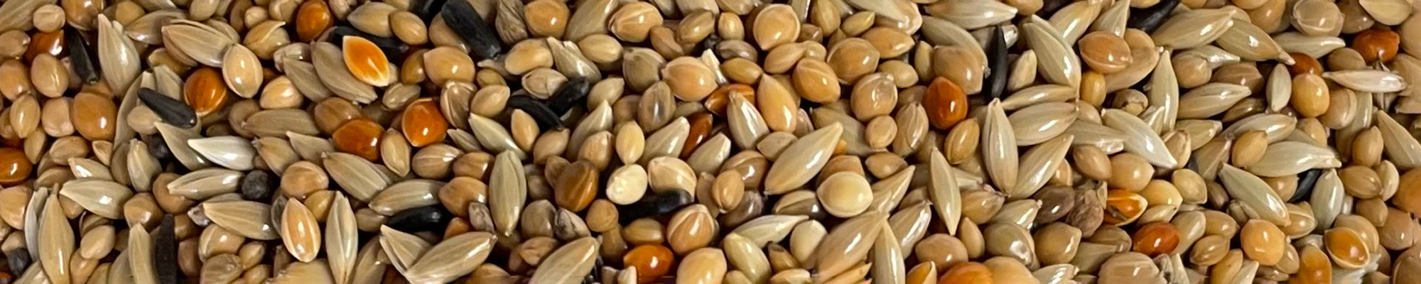 miscela mangime per uccelli