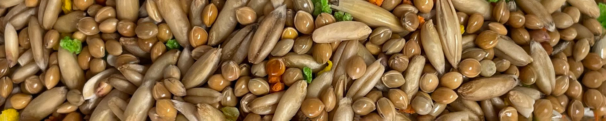 miscela mangime per uccelli