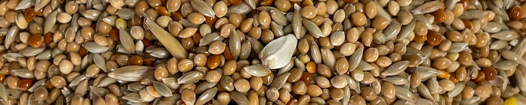 miscela mangime per uccelli