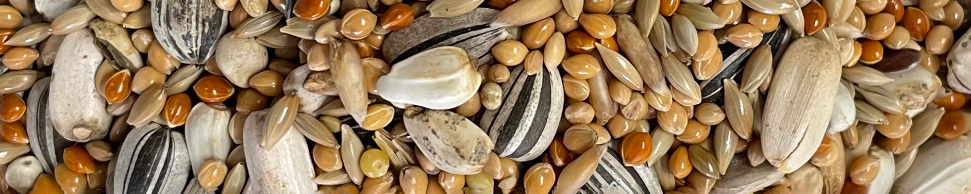 miscela mangime per uccelli