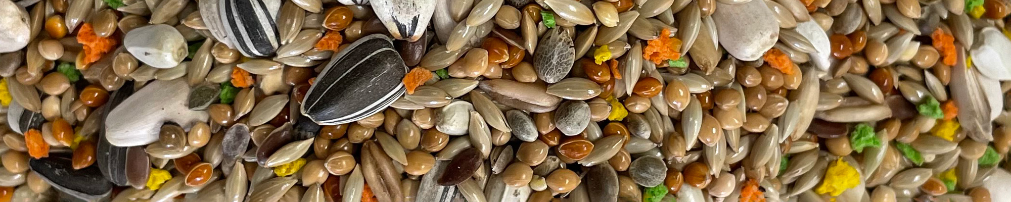 miscela mangime per uccelli