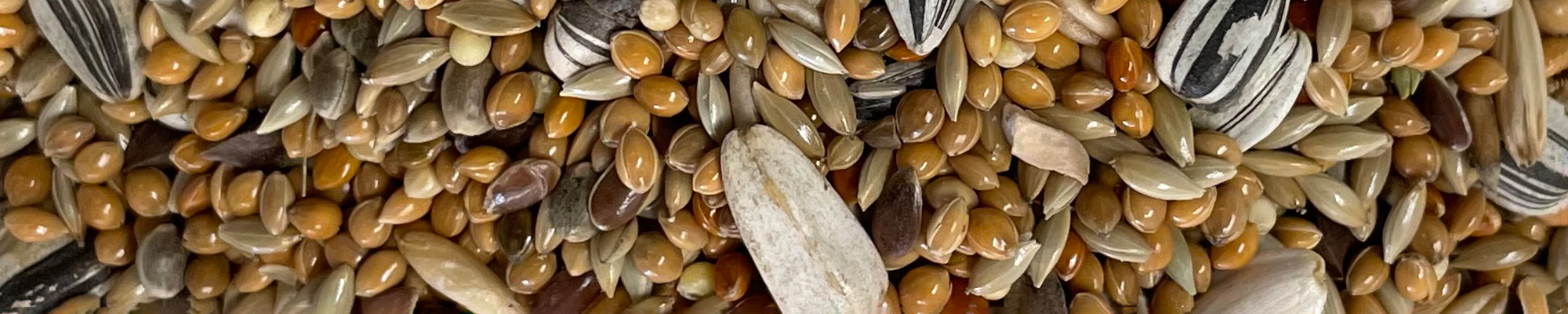 miscela mangime per uccelli