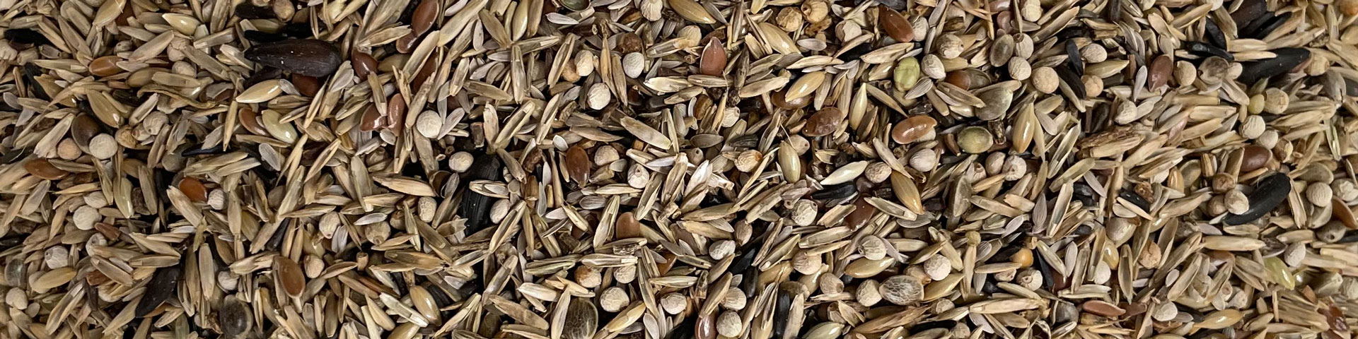 miscela mangime per uccelli