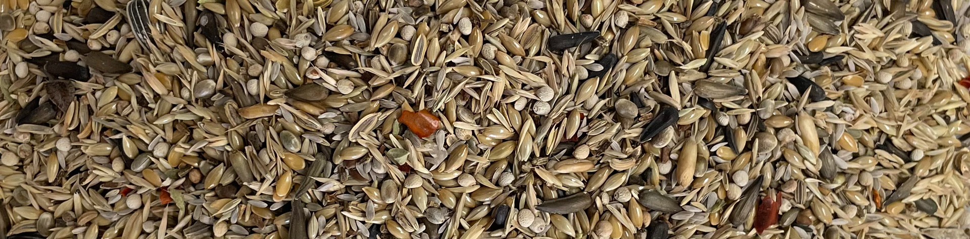 miscela mangime per uccelli
